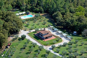 La Casetta nel Bosco Sinalunga